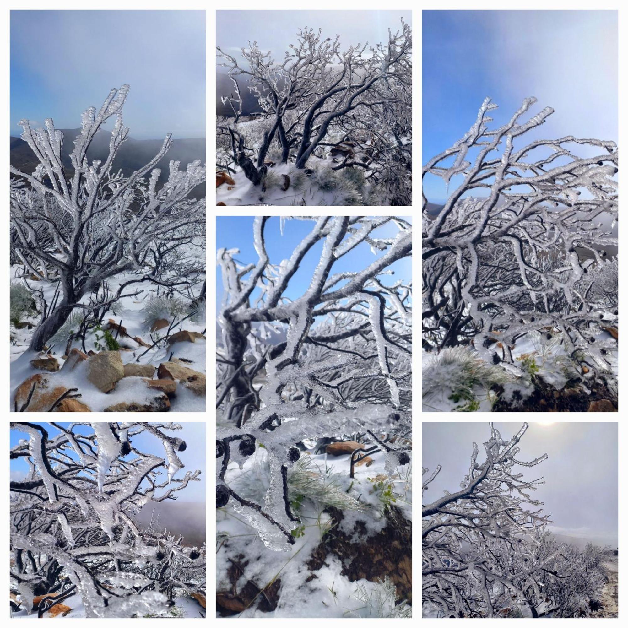 Aloe Valley Retreat Oudtshoorn Bagian luar foto